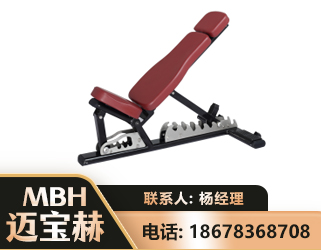 白山可调哑铃椅